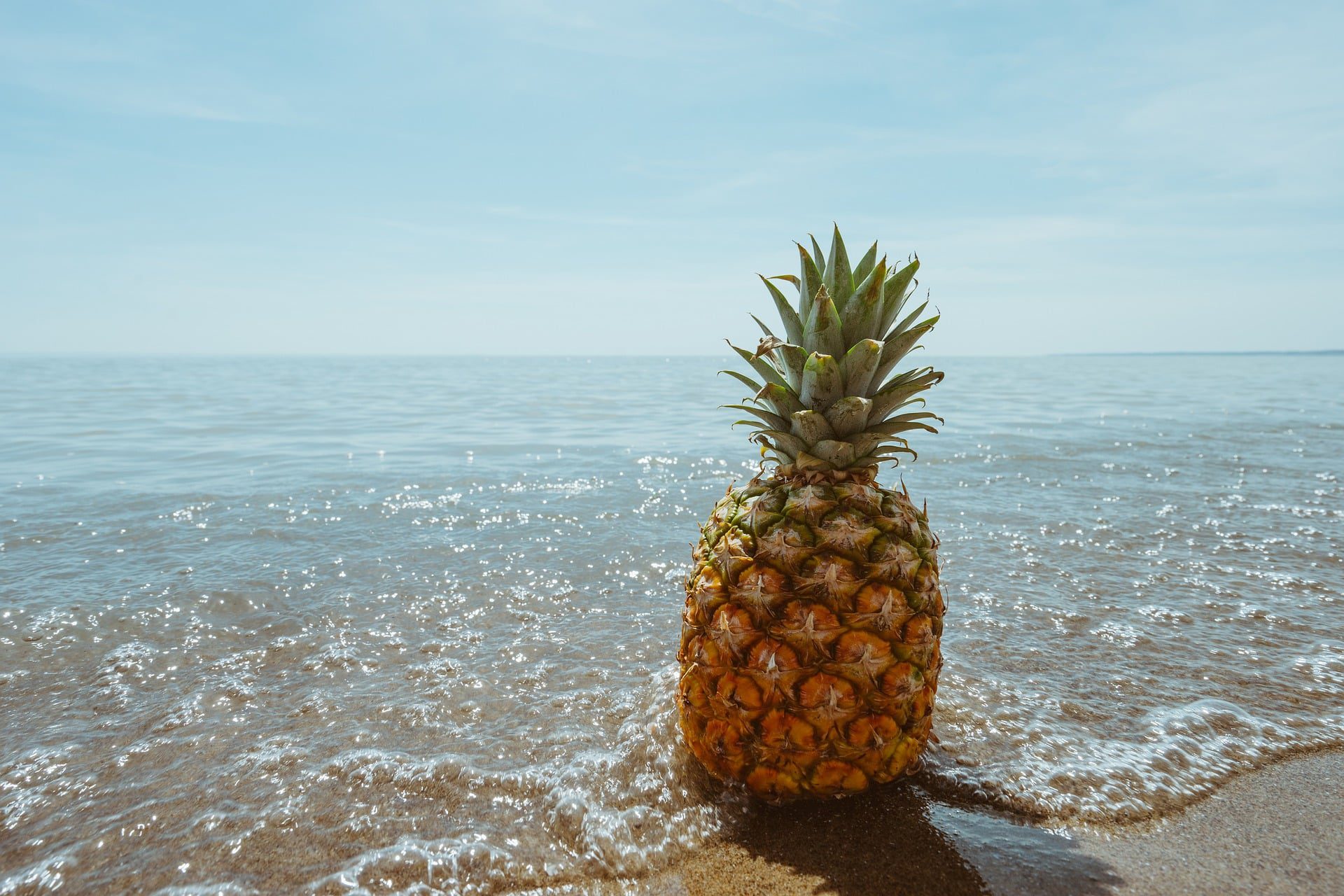 A Traveller On A Cruise Ship Learns What the UpsideDown Pineapple