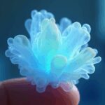 Aerogel