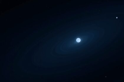 A New Fossil World Just Joined the Solar System’s Edge