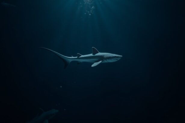 Scientists have discovered a pocket shark species in the Gulf of Mexico measuring only 14 cm that glows in the dark